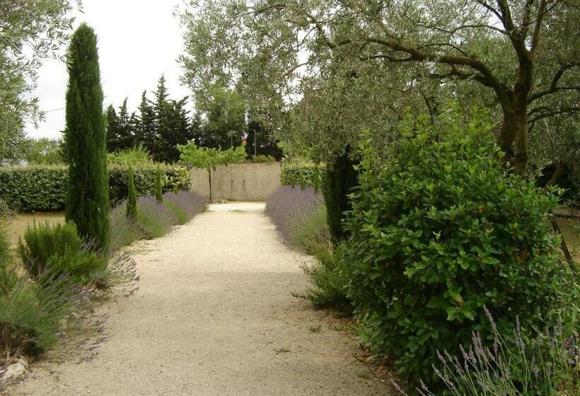 مبيت وإفطار Mas Solige