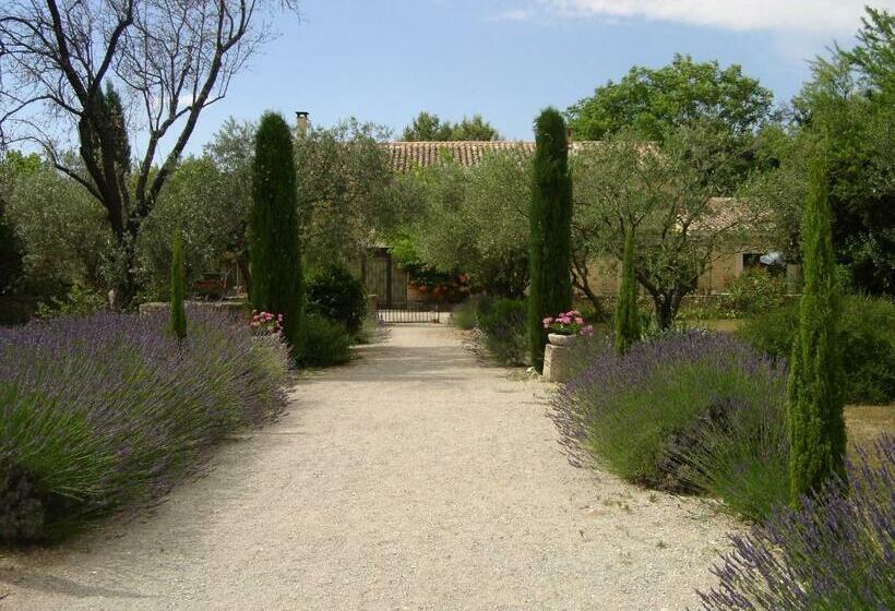 مبيت وإفطار Mas Solige