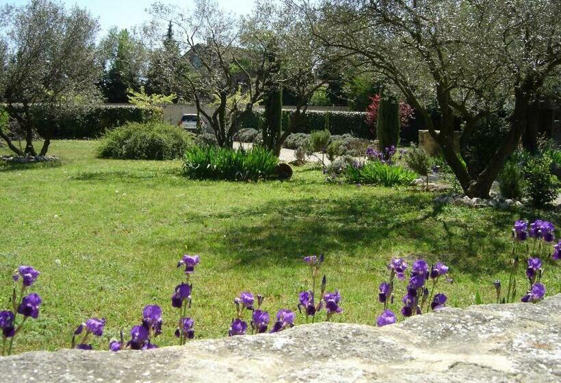 مبيت وإفطار Mas Solige