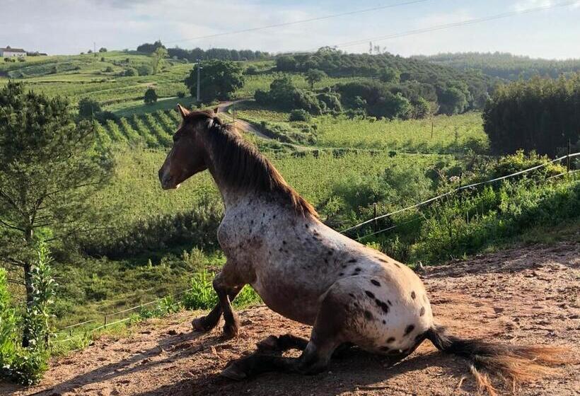 צימר Terra Luso Proche De Montejunto