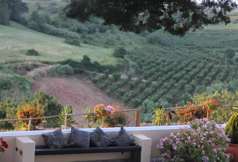 ベッドアンドブレックファースト Terra Luso Proche De Montejunto