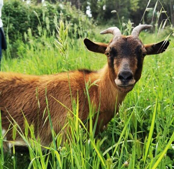 צימר Terra Luso Proche De Montejunto