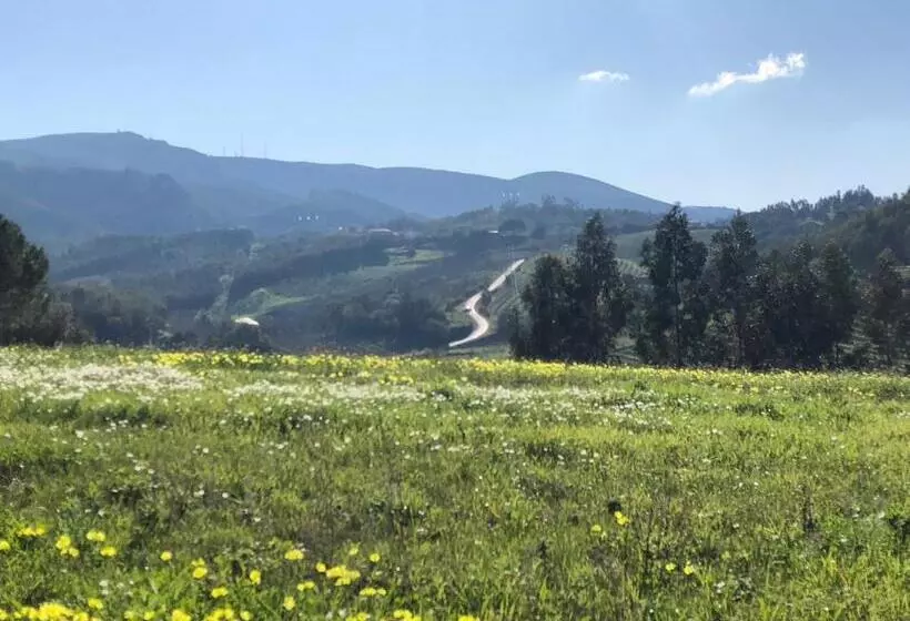 ベッドアンドブレックファースト Terra Luso Proche De Montejunto