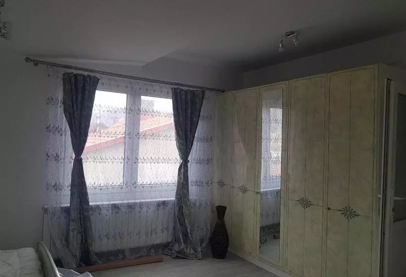 ペンション Casa Cojanu