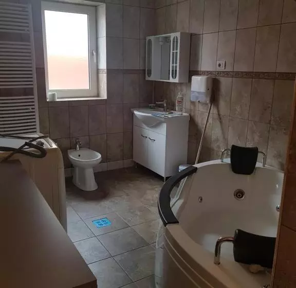 ペンション Casa Cojanu
