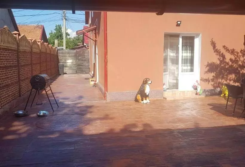 ペンション Casa Cojanu
