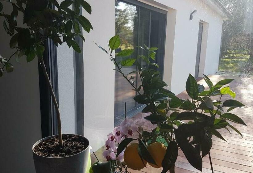 膳宿费 Villa Géna