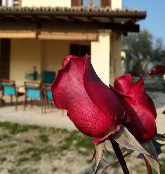 B&b Conca Del Pretore