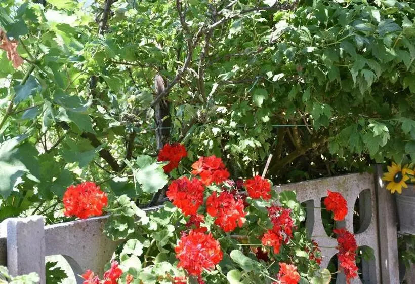 B&b Nel Verde
