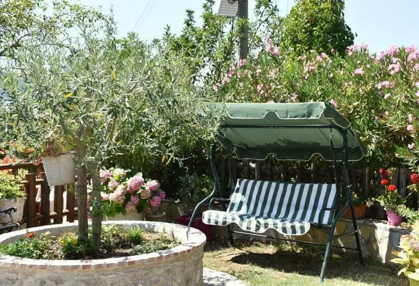 B&b Nel Verde