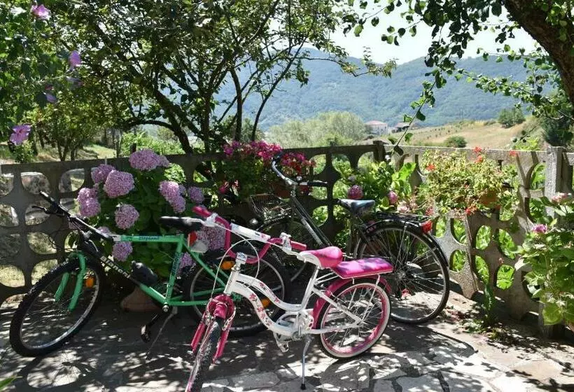 B&b Nel Verde