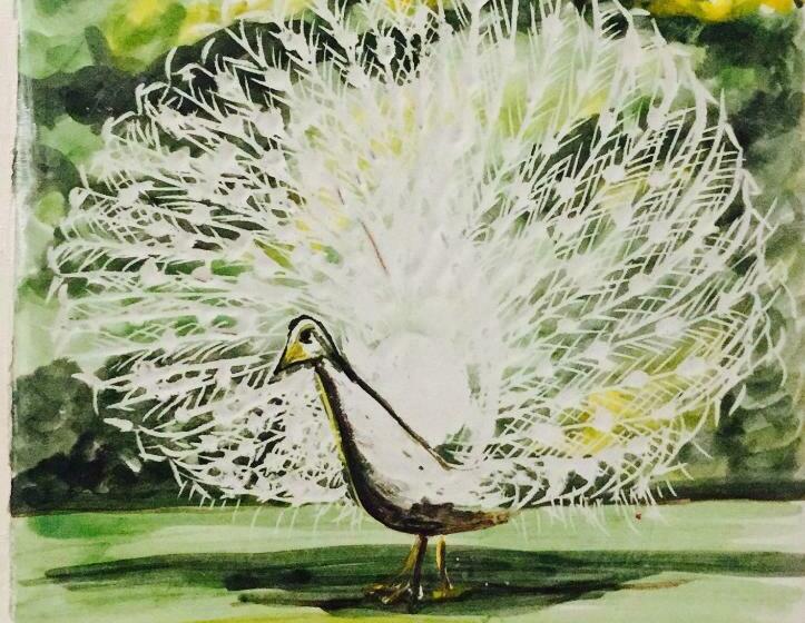 تختخواب و صبحانه Il Pavone