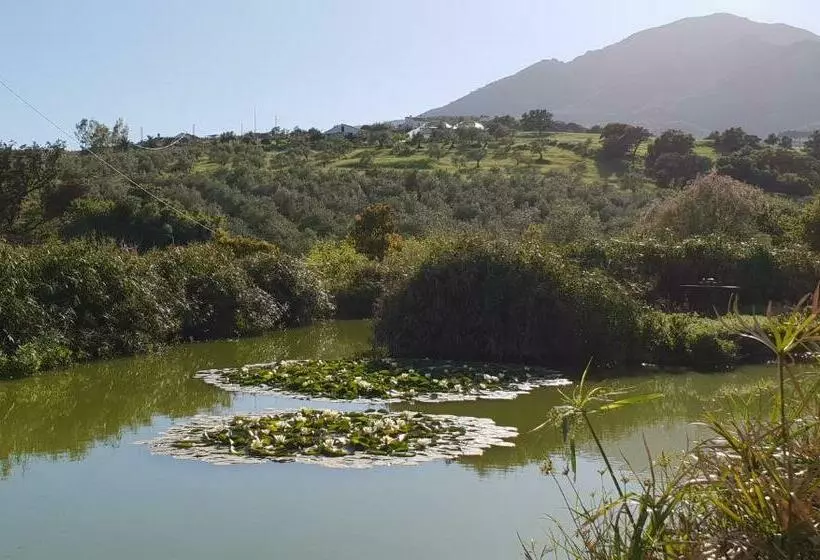Cortijo El Chenil Rural Retreat