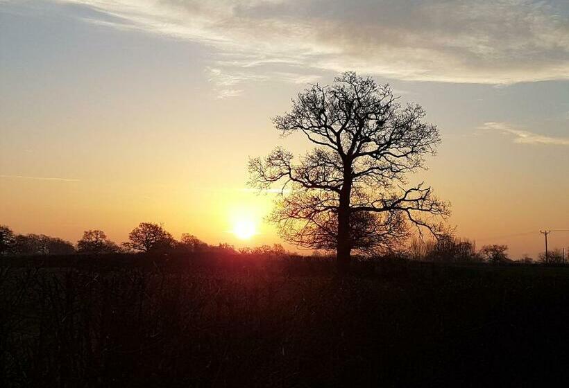 Foxes Field B&b Aston Nantwich