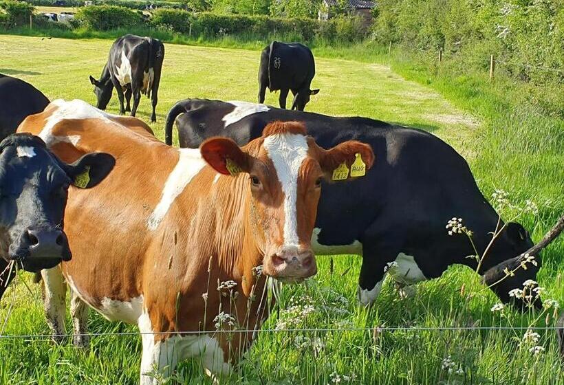 Foxes Field B&b Aston Nantwich