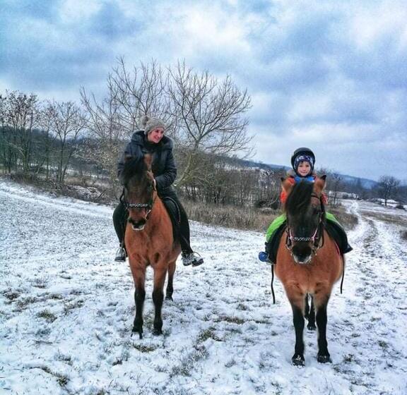 פנסיון Patakpart Vendégház