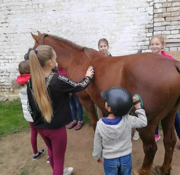 Majatalo Patakpart Vendégház
