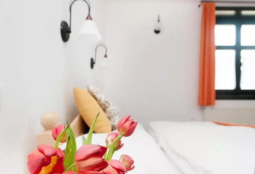 Majatalo Patakpart Vendégház