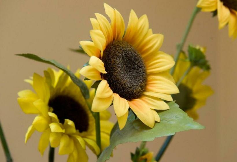 Bed and Breakfast De Kiezel