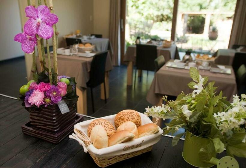 Bed and Breakfast De Kiezel