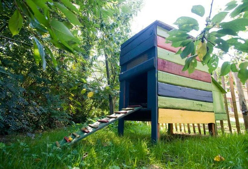 Bed and Breakfast De Kiezel