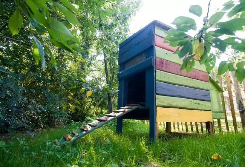 Aamiaismajoitus (B&B) De Kiezel