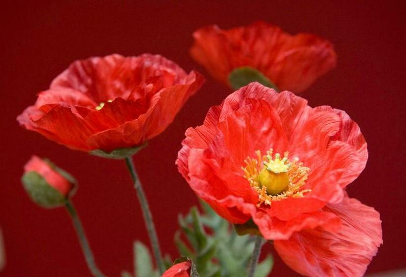 Bed and Breakfast De Kiezel