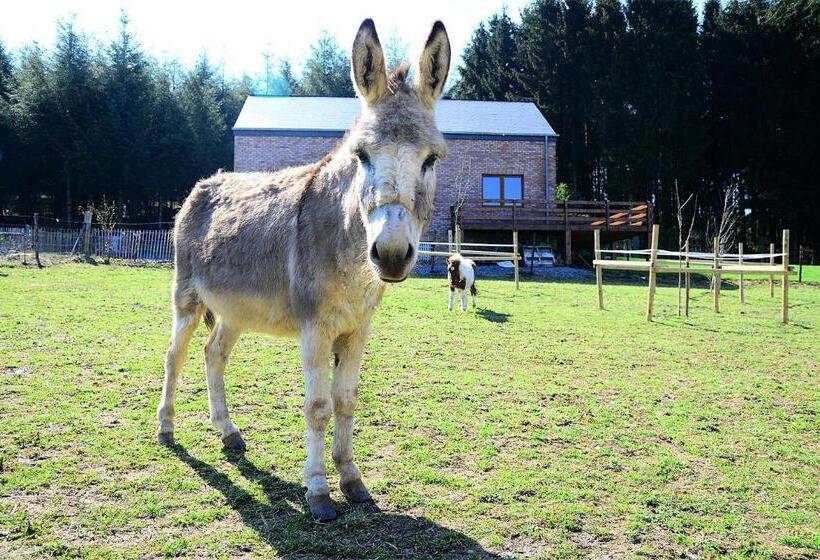 ベッドアンドブレックファースト L Instant Ch Oizy