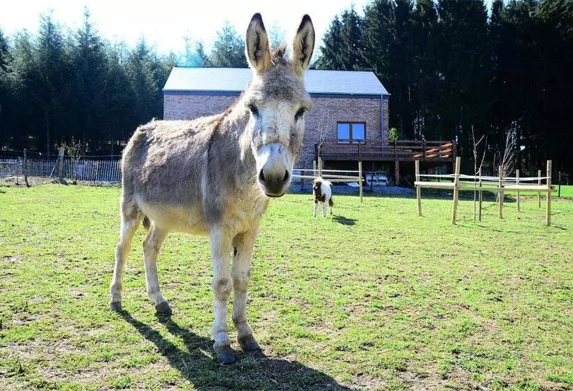 ベッドアンドブレックファースト L  Instant Ch  Oizy