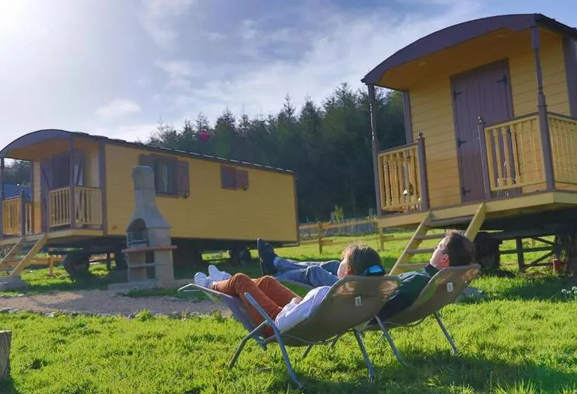 ベッドアンドブレックファースト L  Instant Ch  Oizy