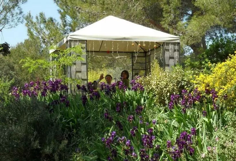 Aamiaismajoitus (B&B) L Oliveraie En Provence