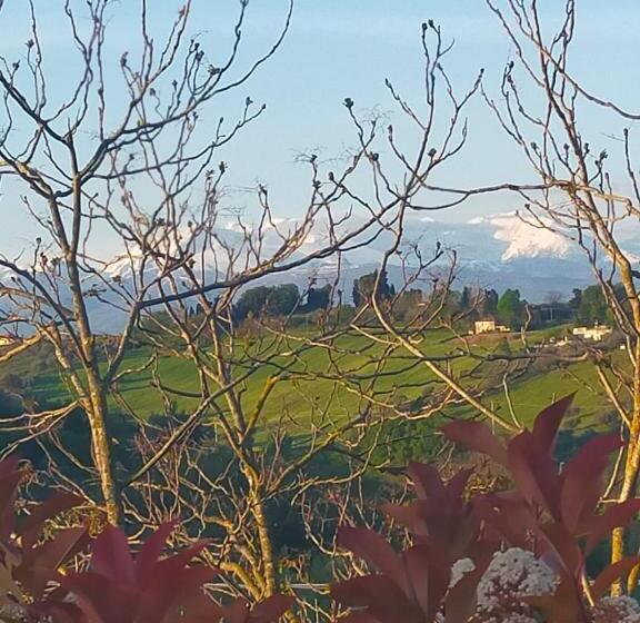 住宿加早餐 La Casa Del Nonno