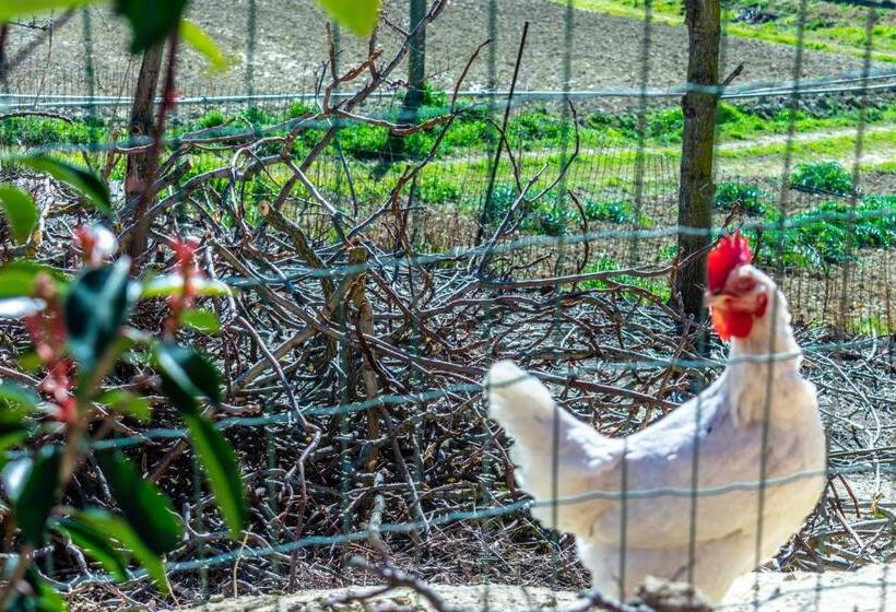 住宿加早餐 La Casa Del Nonno