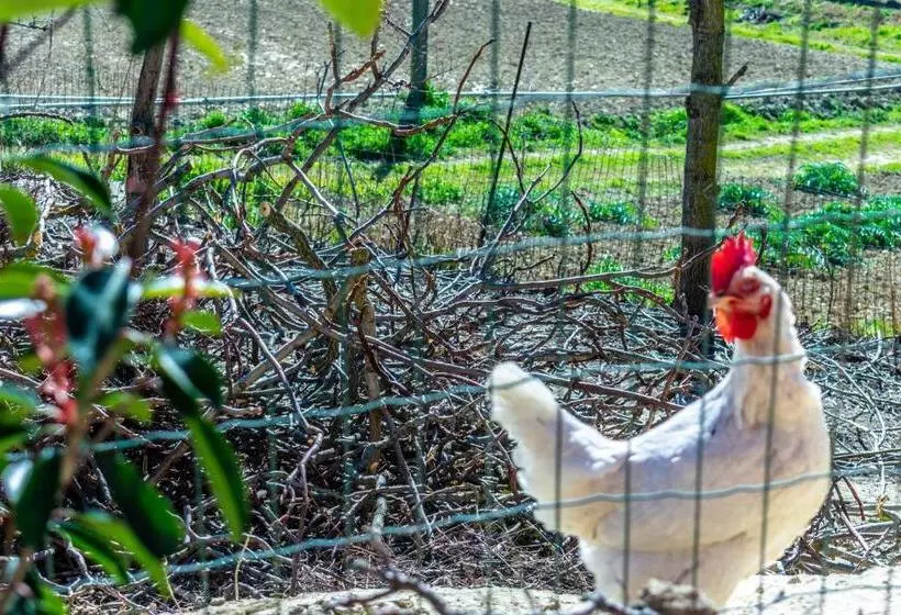 Aamiaismajoitus (B&B) La Casa Del Nonno