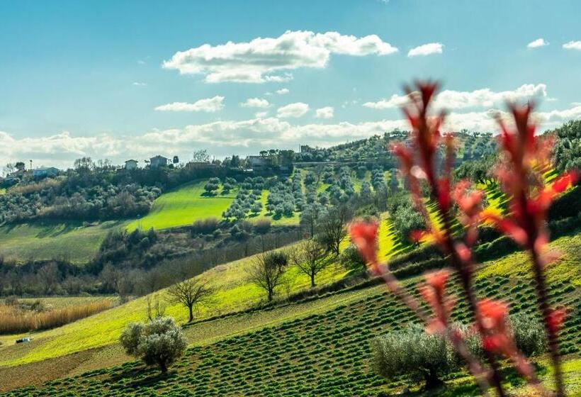 住宿加早餐 La Casa Del Nonno