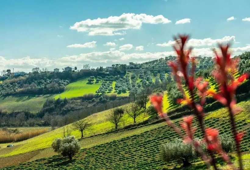 Aamiaismajoitus (B&B) La Casa Del Nonno