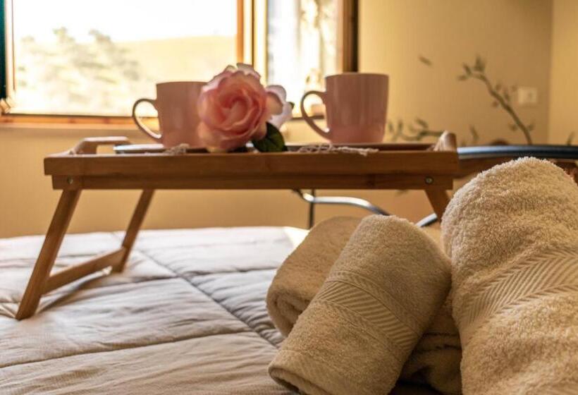 住宿加早餐 La Casa Del Nonno