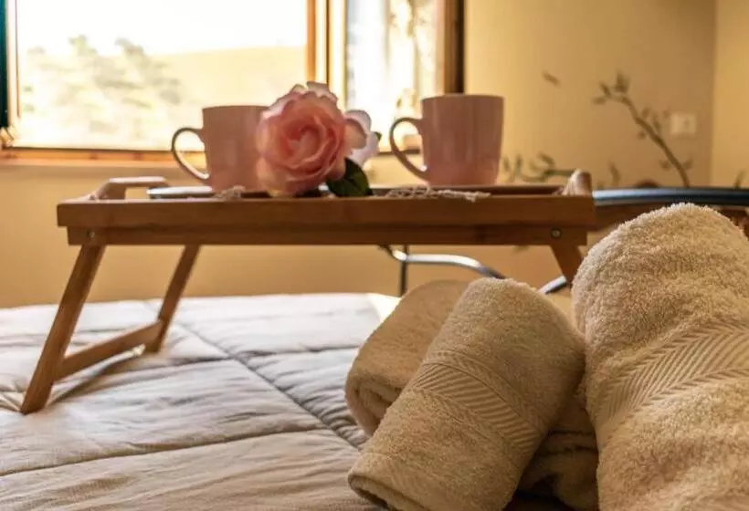 Aamiaismajoitus (B&B) La Casa Del Nonno