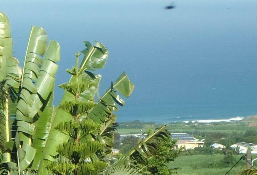 تختخواب و صبحانه Villa Ambralini