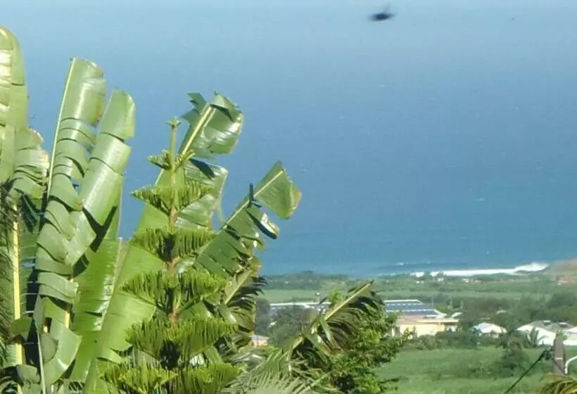 تختخواب و صبحانه Villa Ambralini