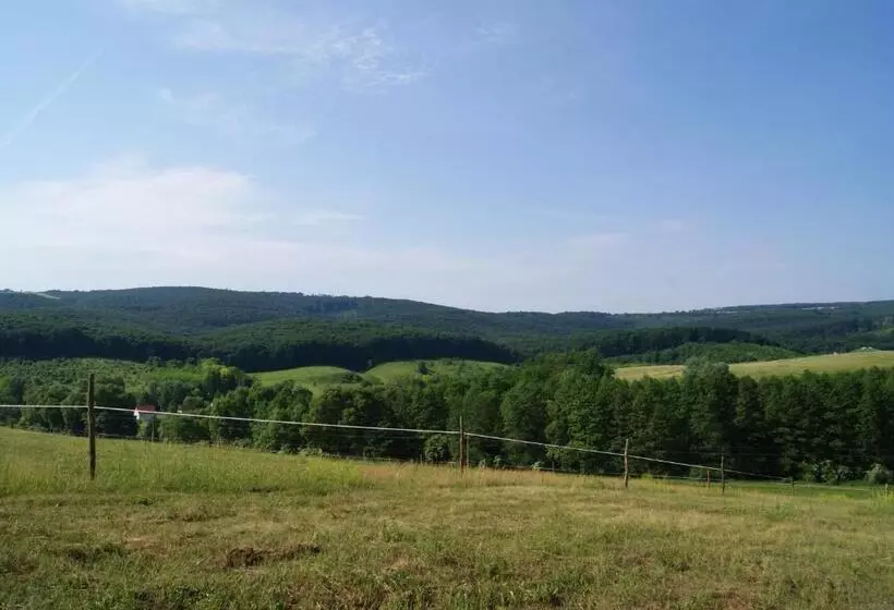 ペンション Bársonyberek Vendégház Bakony