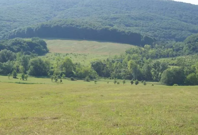 ペンション Bársonyberek Vendégház Bakony
