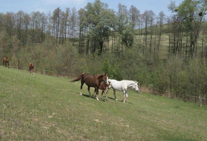 ペンション Bársonyberek Vendégház Bakony