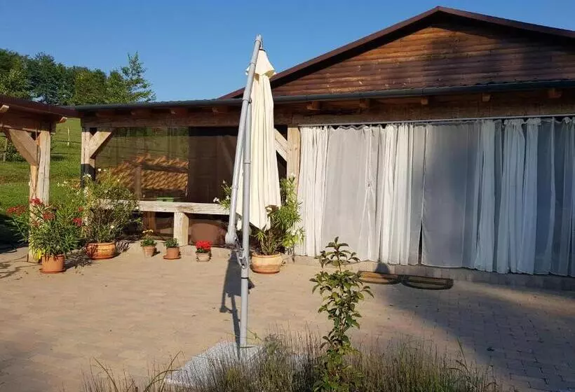 ペンション Bársonyberek Vendégház Bakony