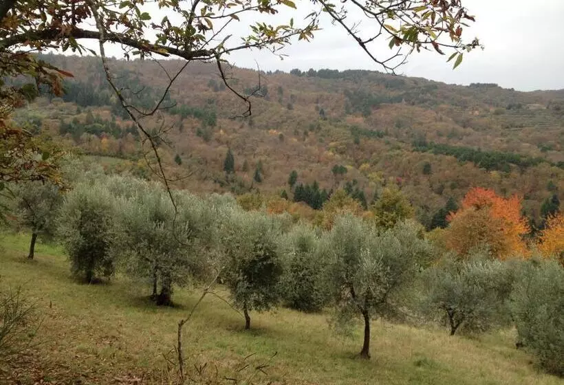 Majatalo Il Ghiro