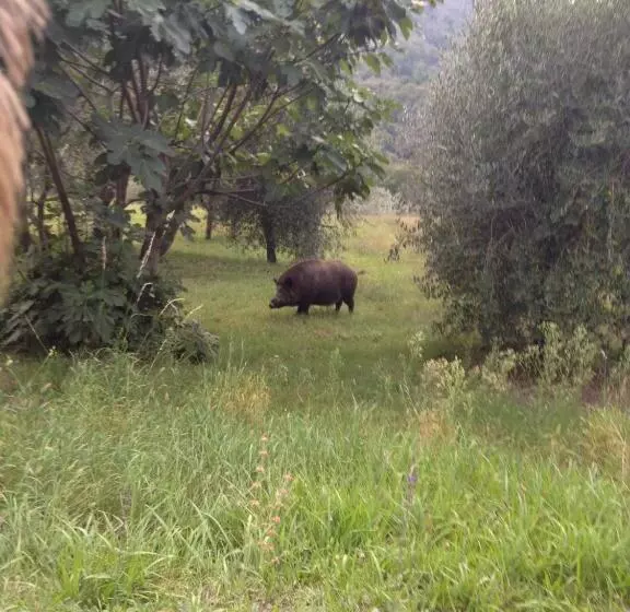 Majatalo Il Ghiro
