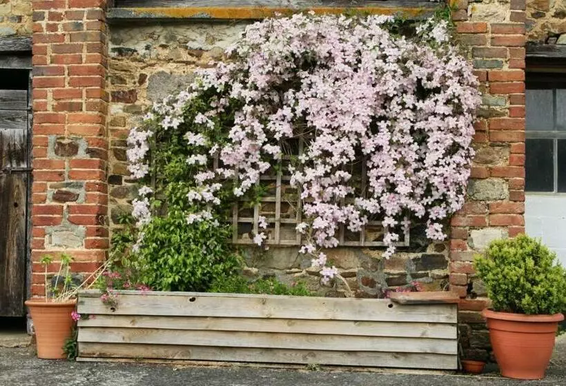 Aamiaismajoitus (B&B) Brook Farmhouse