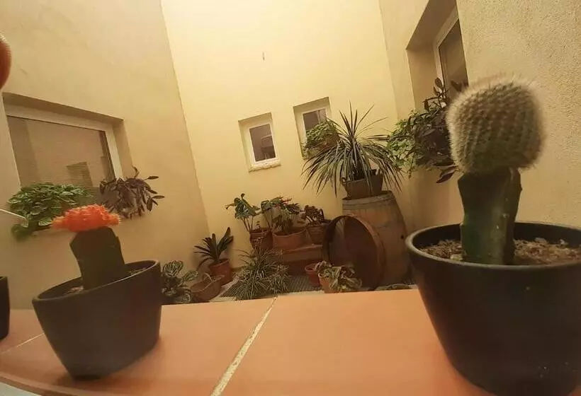 ベッドアンドブレックファースト Casa La Foradada