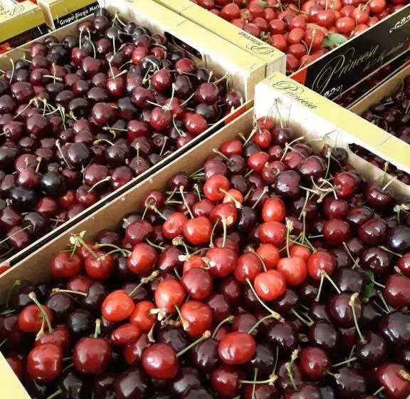 ベッドアンドブレックファースト Casa La Foradada