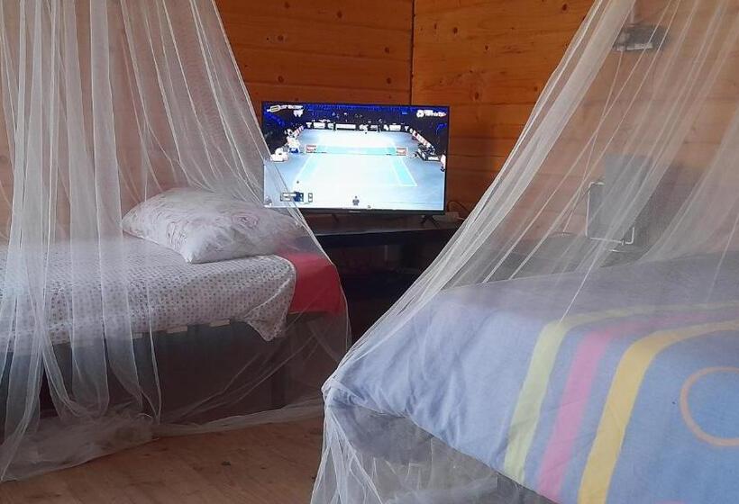 Coruña Backpackers Hostel